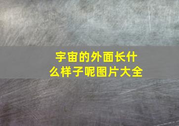 宇宙的外面长什么样子呢图片大全