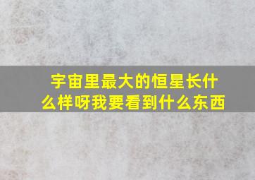 宇宙里最大的恒星长什么样呀我要看到什么东西