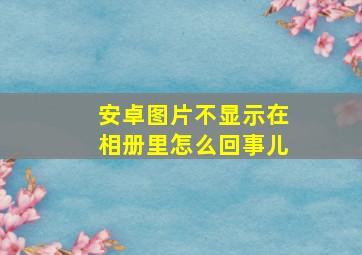 安卓图片不显示在相册里怎么回事儿