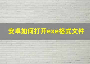 安卓如何打开exe格式文件