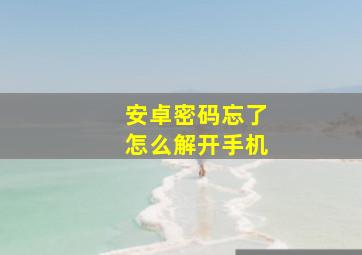 安卓密码忘了怎么解开手机