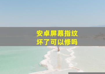 安卓屏幕指纹坏了可以修吗