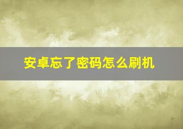 安卓忘了密码怎么刷机