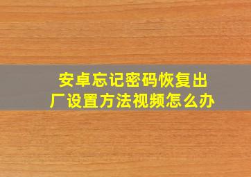 安卓忘记密码恢复出厂设置方法视频怎么办