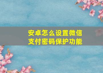 安卓怎么设置微信支付密码保护功能