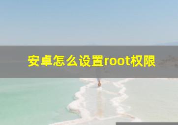 安卓怎么设置root权限