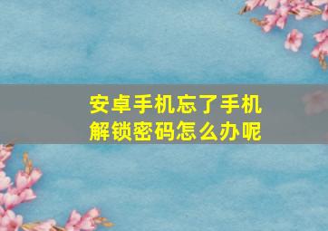 安卓手机忘了手机解锁密码怎么办呢