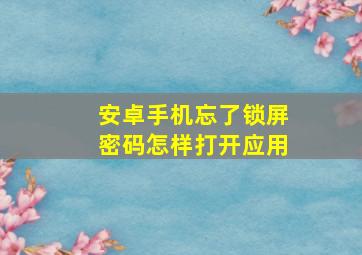 安卓手机忘了锁屏密码怎样打开应用