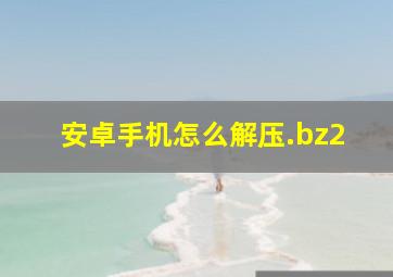 安卓手机怎么解压.bz2