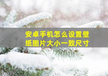 安卓手机怎么设置壁纸图片大小一致尺寸