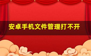 安卓手机文件管理打不开