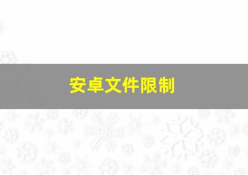 安卓文件限制