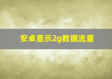 安卓显示2g数据流量