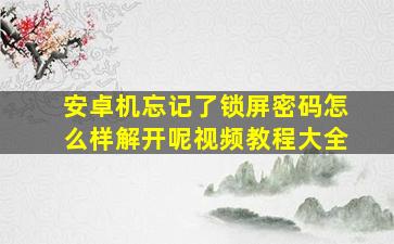 安卓机忘记了锁屏密码怎么样解开呢视频教程大全