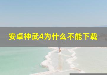 安卓神武4为什么不能下载