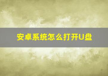 安卓系统怎么打开U盘