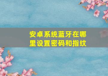 安卓系统蓝牙在哪里设置密码和指纹