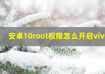 安卓10root权限怎么开启vivo