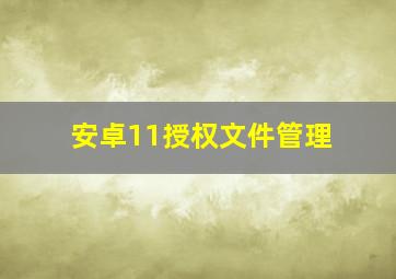 安卓11授权文件管理