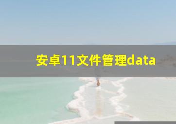 安卓11文件管理data