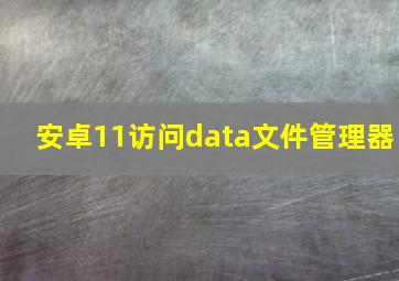 安卓11访问data文件管理器