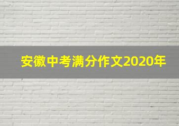 安徽中考满分作文2020年