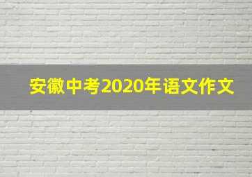 安徽中考2020年语文作文