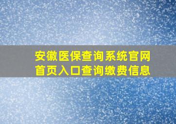 安徽医保查询系统官网首页入口查询缴费信息