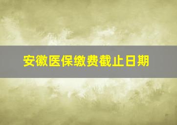 安徽医保缴费截止日期