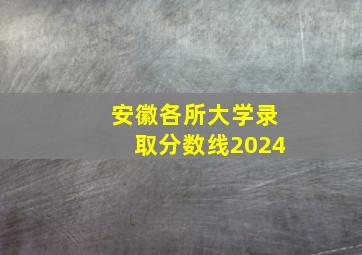 安徽各所大学录取分数线2024