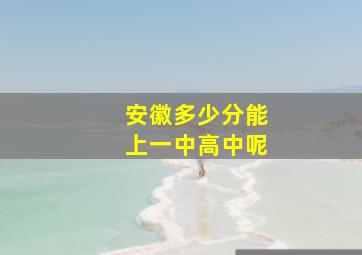 安徽多少分能上一中高中呢