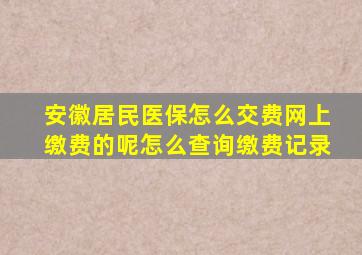 安徽居民医保怎么交费网上缴费的呢怎么查询缴费记录