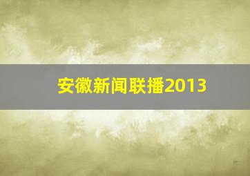 安徽新闻联播2013