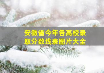 安徽省今年各高校录取分数线表图片大全