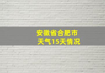 安徽省合肥市天气15天情况