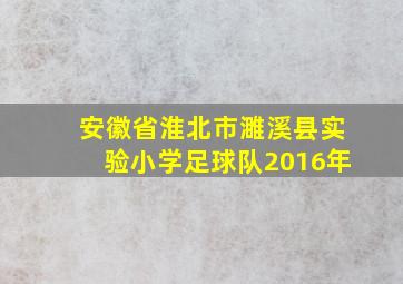 安徽省淮北市濉溪县实验小学足球队2016年