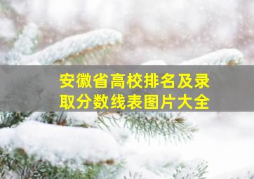 安徽省高校排名及录取分数线表图片大全