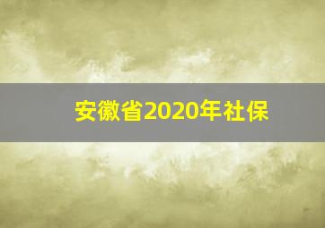 安徽省2020年社保