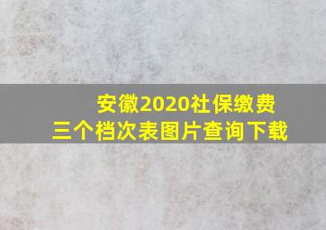 安徽2020社保缴费三个档次表图片查询下载