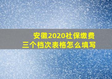 安徽2020社保缴费三个档次表格怎么填写