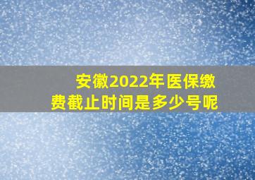 安徽2022年医保缴费截止时间是多少号呢