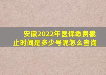 安徽2022年医保缴费截止时间是多少号呢怎么查询