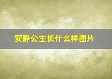 安静公主长什么样图片