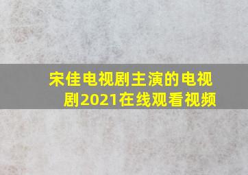 宋佳电视剧主演的电视剧2021在线观看视频