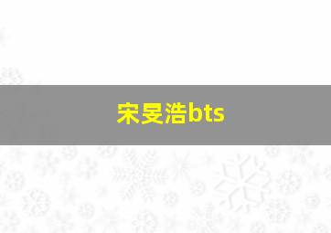 宋旻浩bts