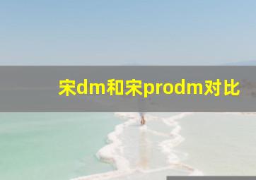 宋dm和宋prodm对比