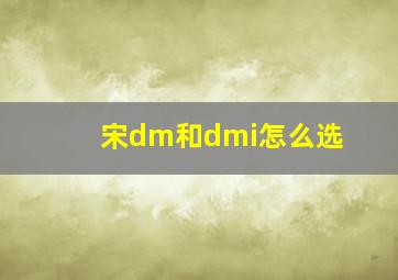 宋dm和dmi怎么选