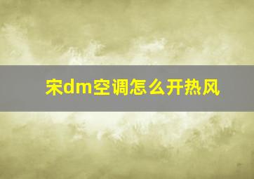 宋dm空调怎么开热风