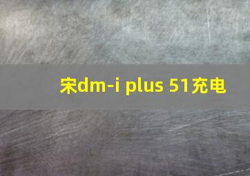 宋dm-i plus 51充电