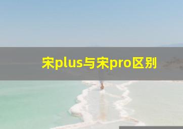 宋plus与宋pro区别